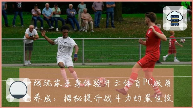 一线玩家亲身体验开云体育PC版角色养成，揭秘提升战斗力的最佳技巧