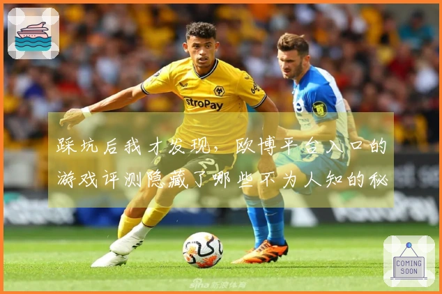 踩坑后我才发现，欧博平台入口的游戏评测隐藏了哪些不为人知的秘密？